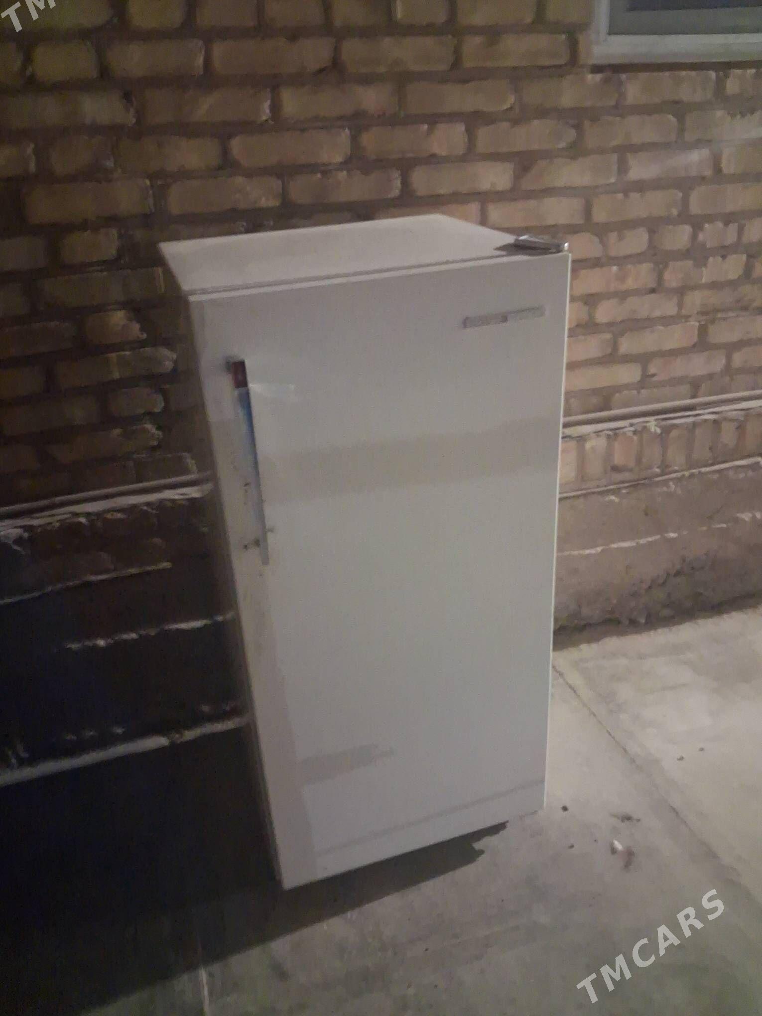 holodilnik - Дянев - img 1