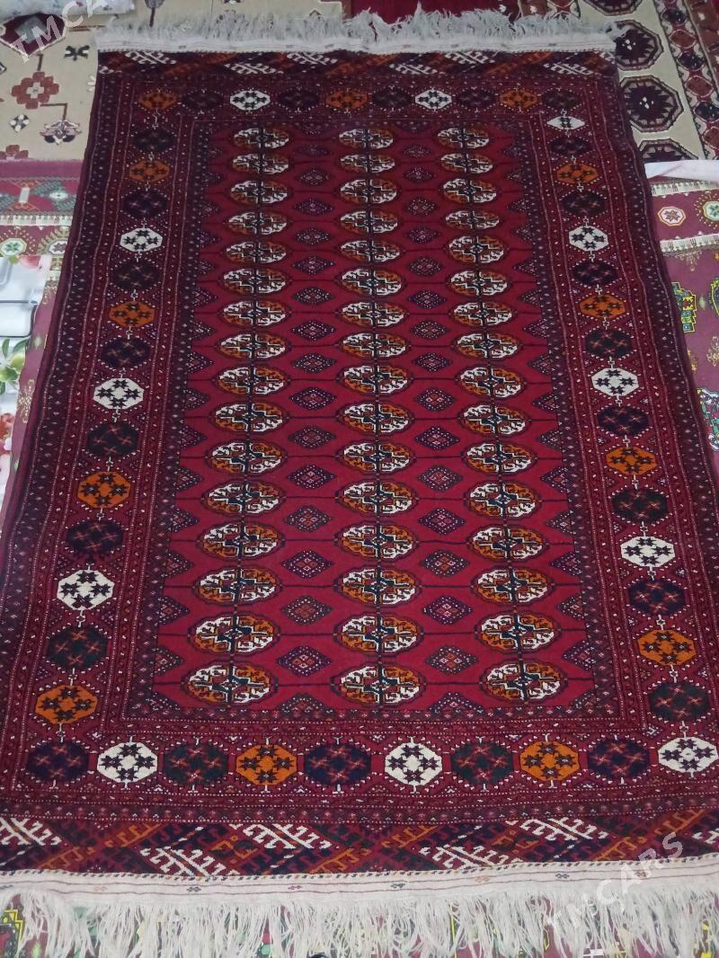 Haly - Gökdepe - img 1