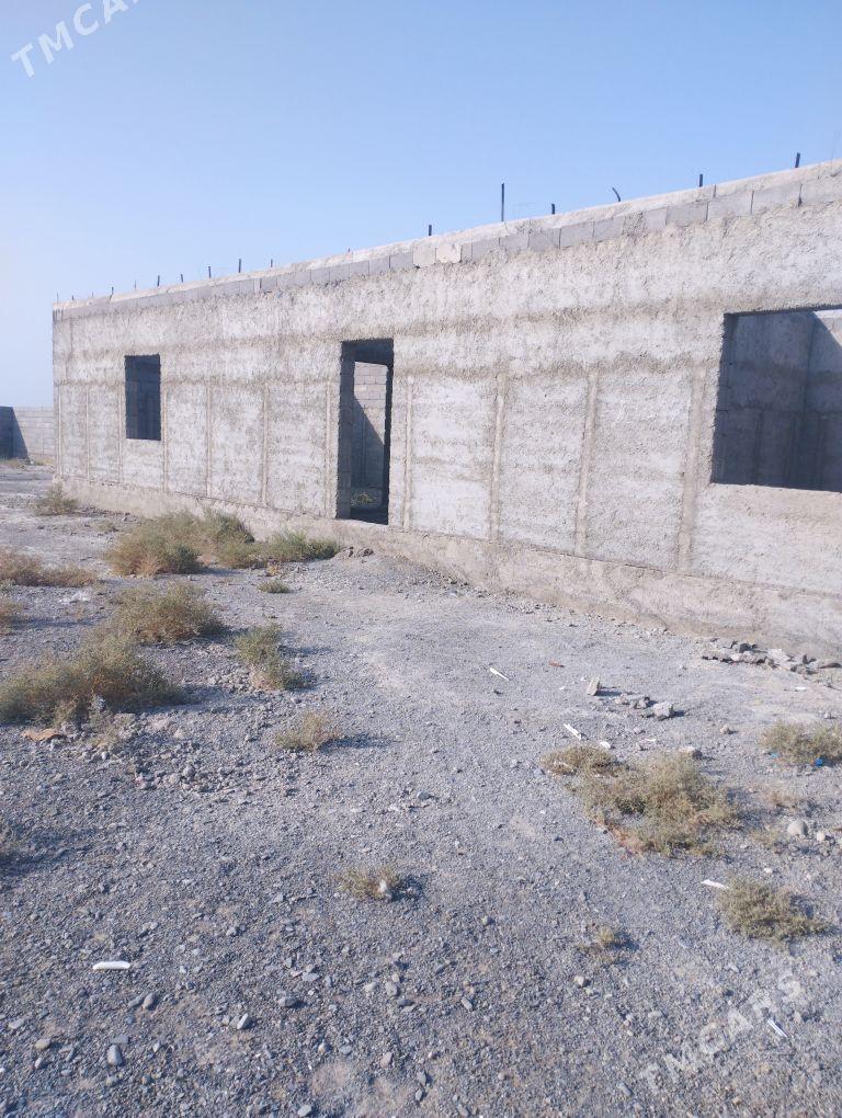 dowgala - Бахарден - img 1