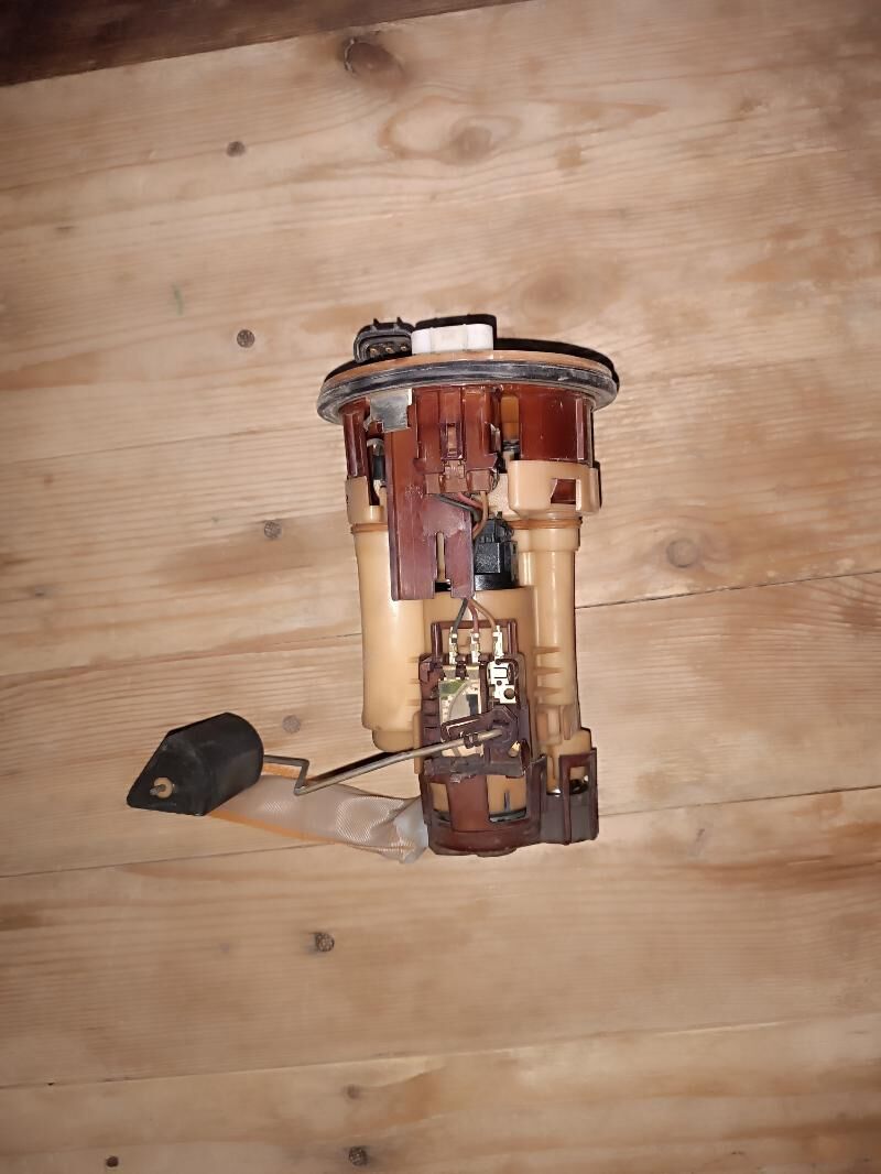 Duty kemri 2005 250 TMT - Mary - img 1