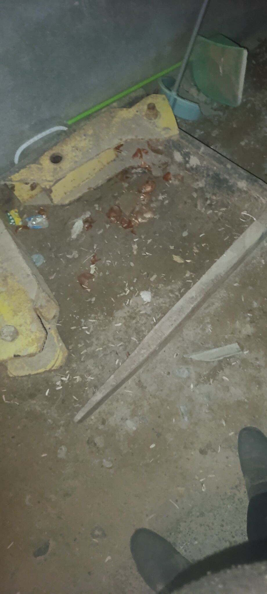 wilka jisbi 3 000 TMT - Мары - img 1