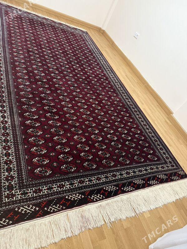 el haly arassa - Ашхабад - img 1