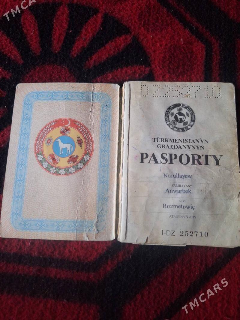 passport yitdi - Bagyr - img 1