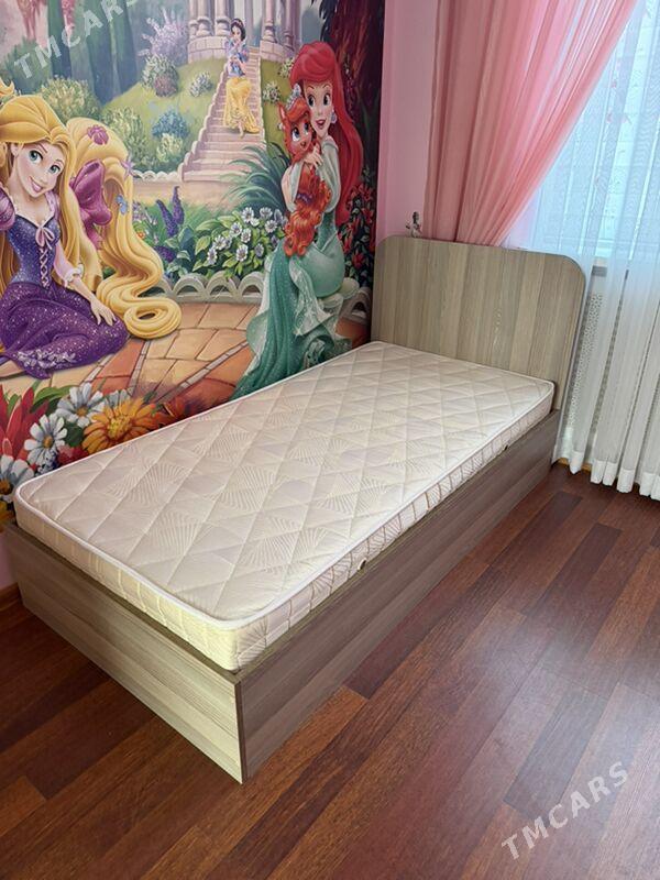 Mebel krawat - Тязе заман - img 1