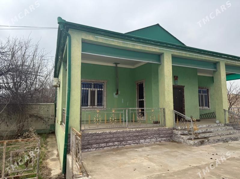 Hywat daca - Kaka - img 1