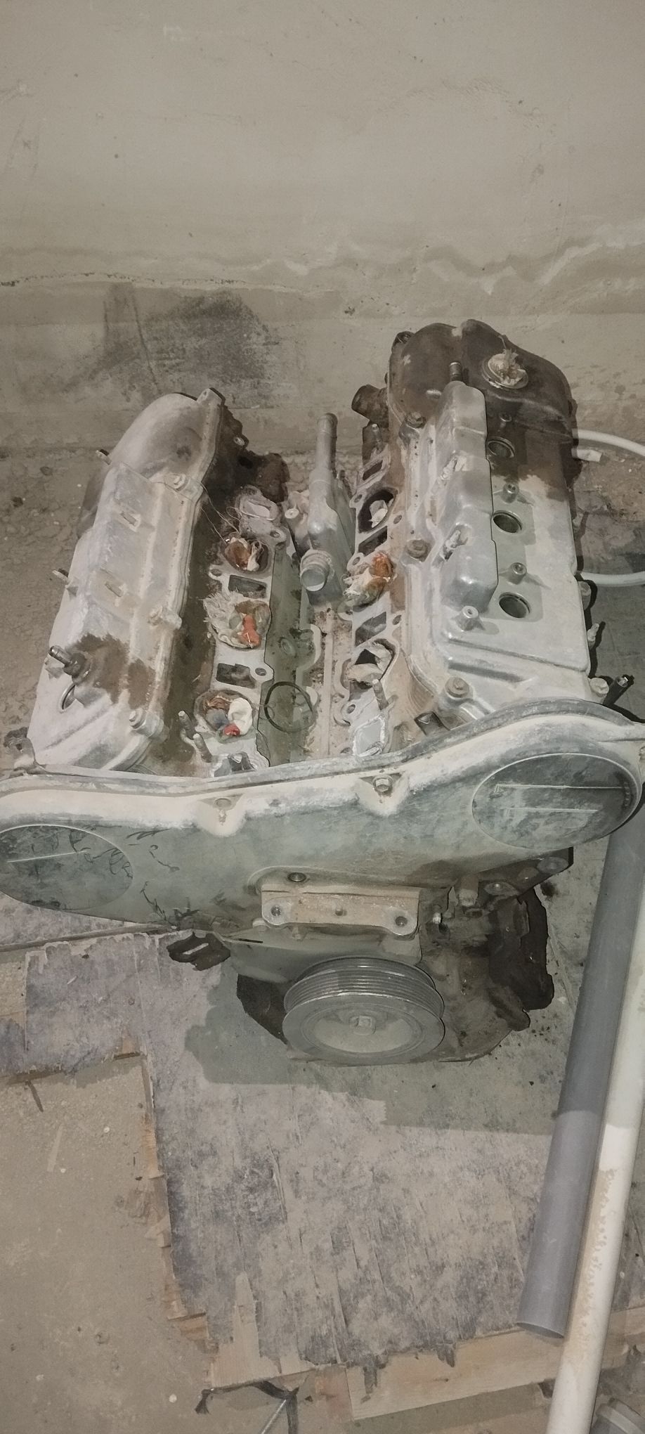 Diwitil 2 000 TMT - Ak bugdaý etraby - img 1