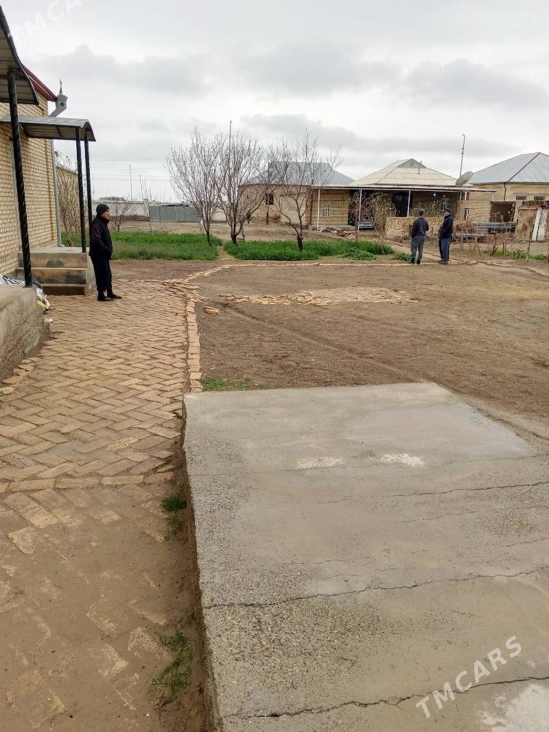 Satlyk howly - Mary - img 1