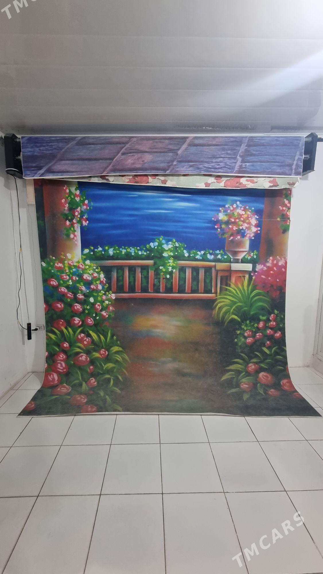 foto fon - Анев - img 1