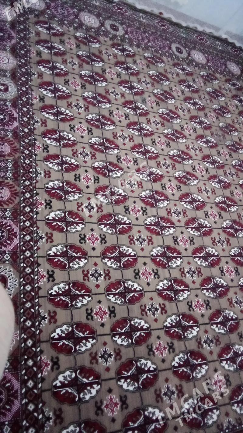 Haly - Байрамали - img 1