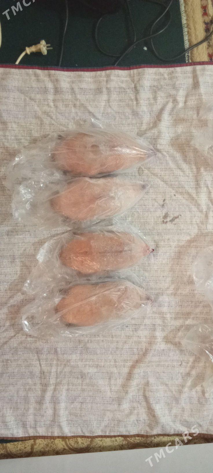 awganka ordek barak - Türkmenbaşy - img 1