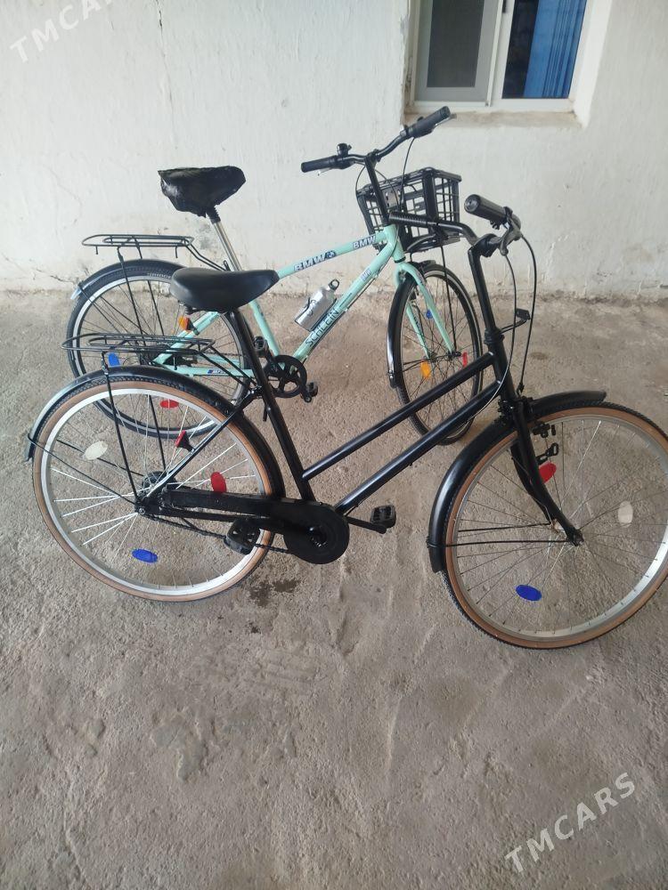 Welsepit - Яшлык - img 1