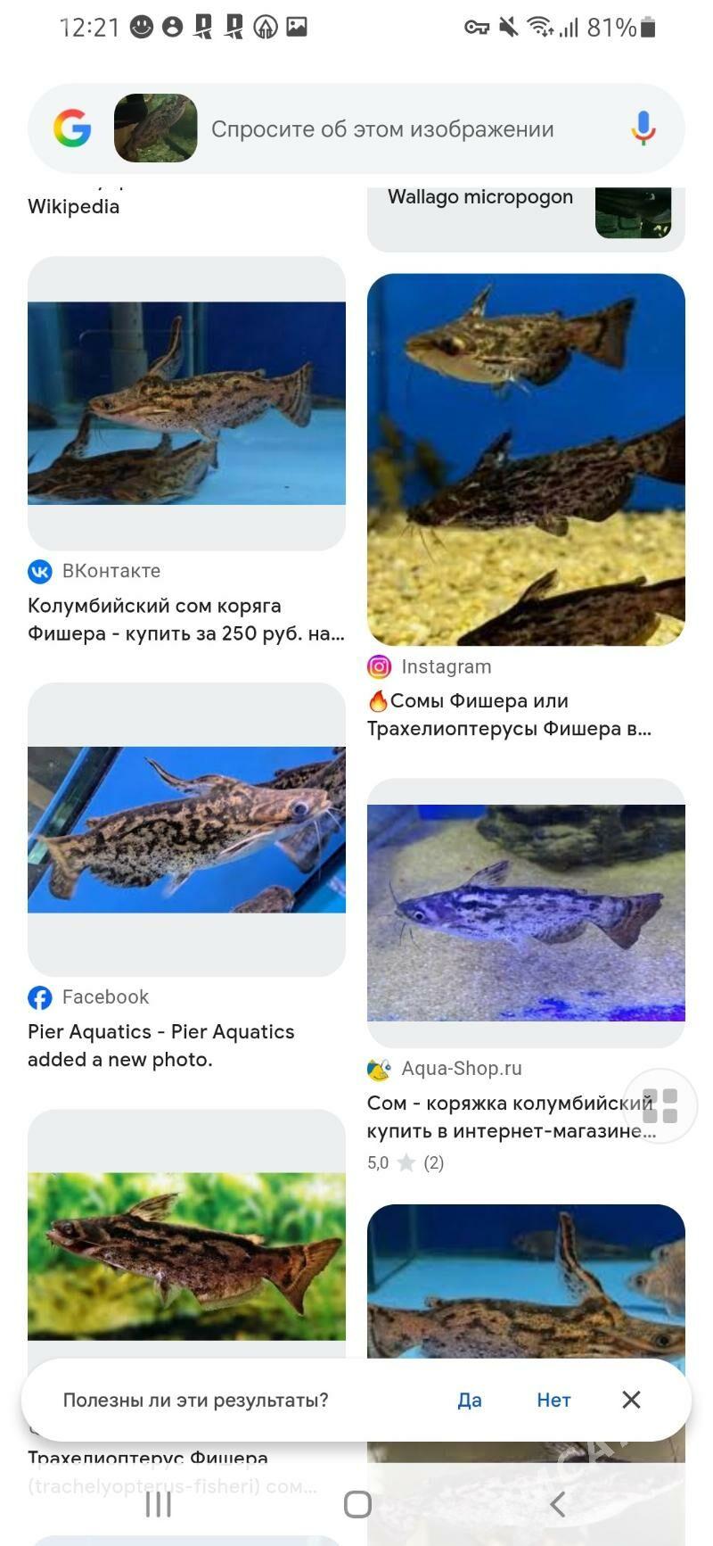 продаётся рыбка (хищник) - Район ст. Аэропорта, ул. Гагарина - img 1