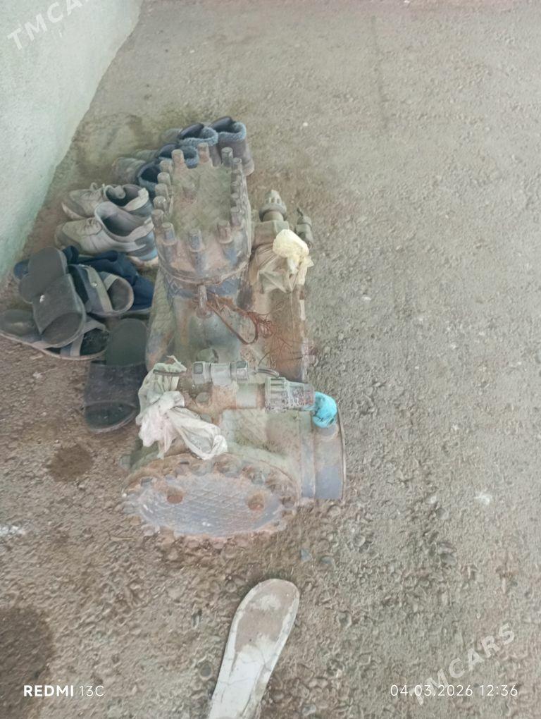 haladilnik kampiresir - Bagyr - img 1