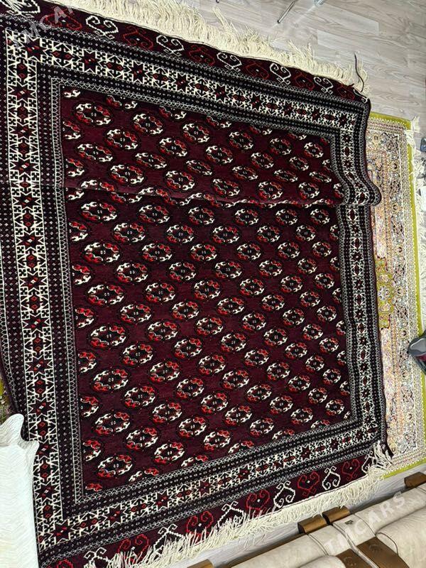 haly - Türkmenbaşy - img 1