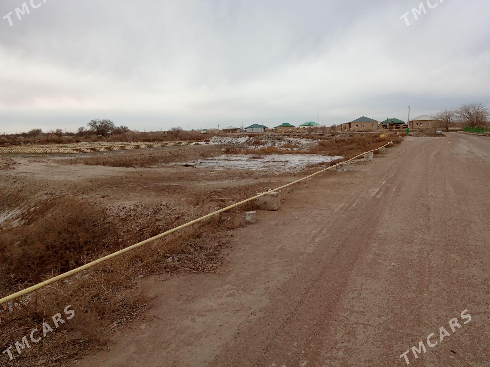 Mellek yer - Гороглы (Тагта) - img 1