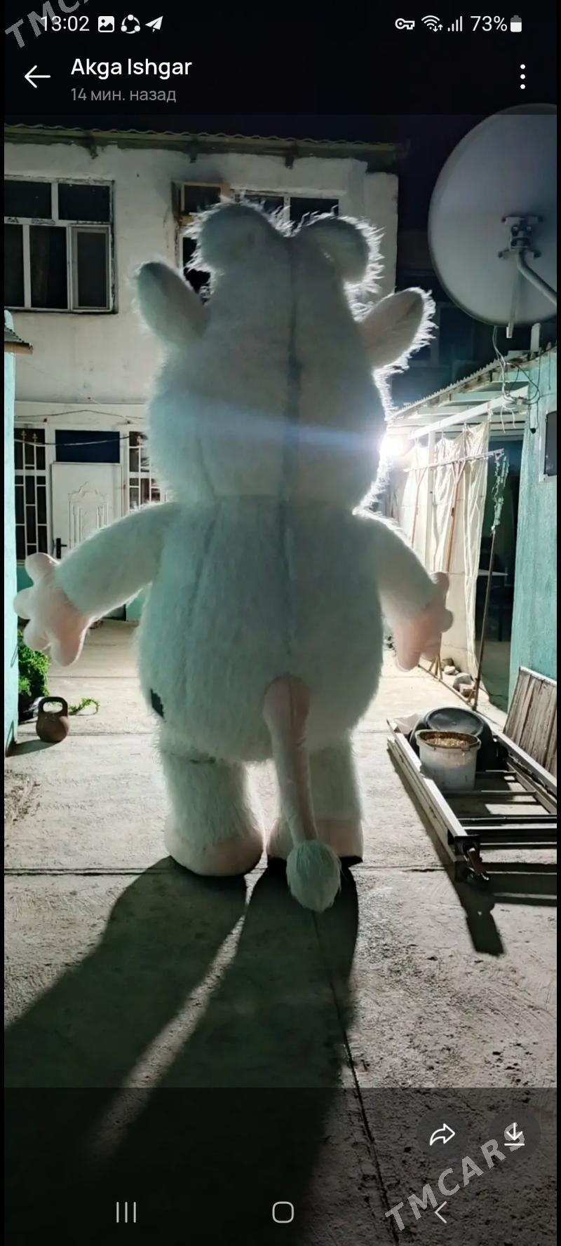 uly mişkalar - Arkadag - img 1