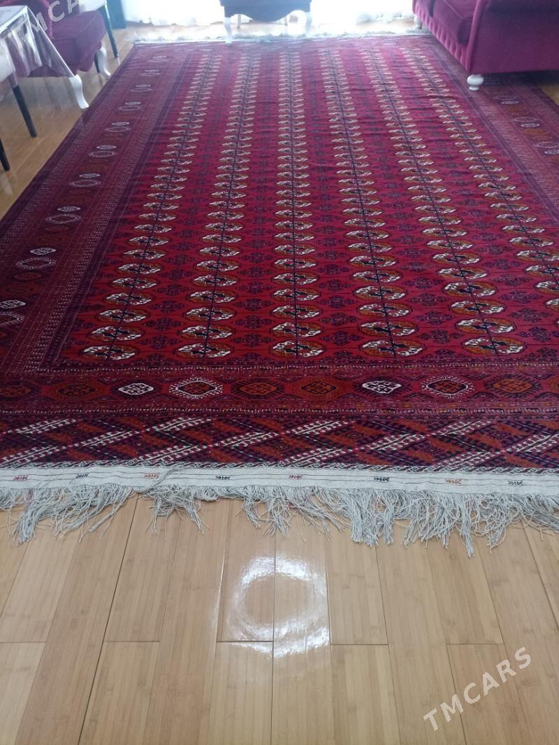 el hali - Ашхабад - img 1