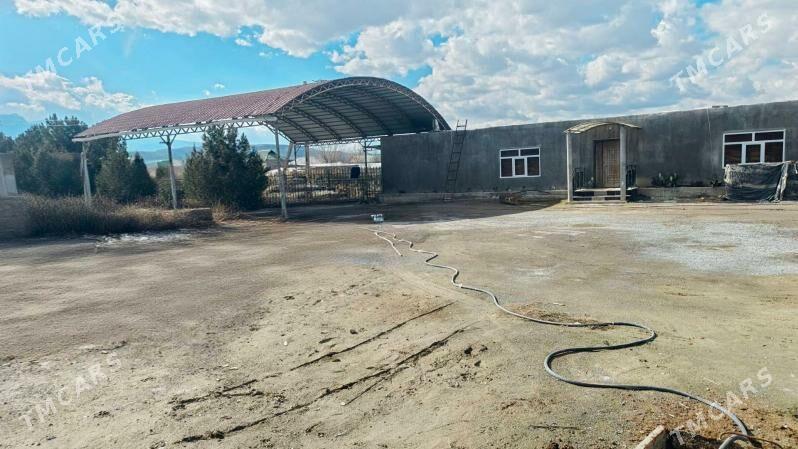 Gökdepe kelejar 30 sotok - Гёкдепе - img 1