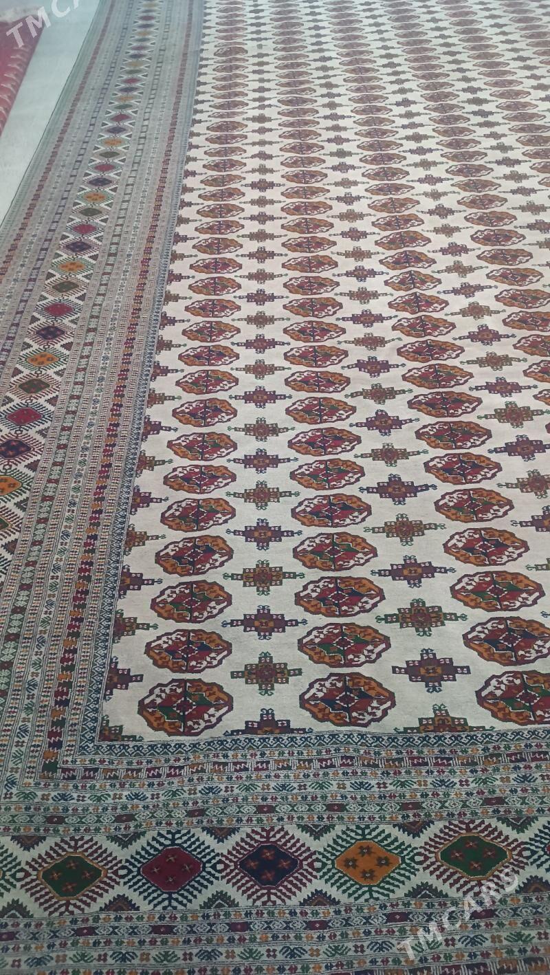 El haly - Бахарден - img 1