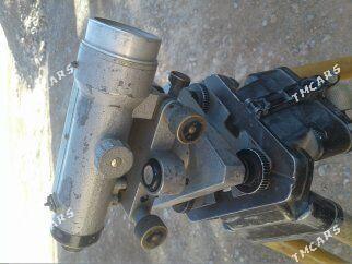 Niwlir Tedalit - Сакарчага - img 1