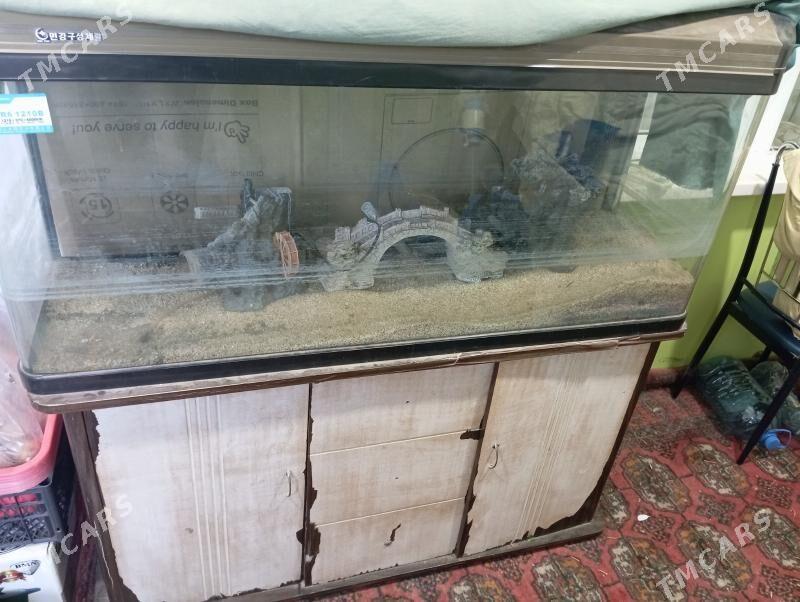 Akwariyum - Туркменабат - img 1