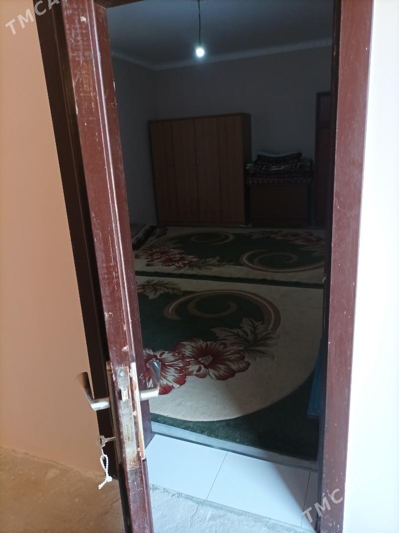 kreyne jay - Bäherden - img 1