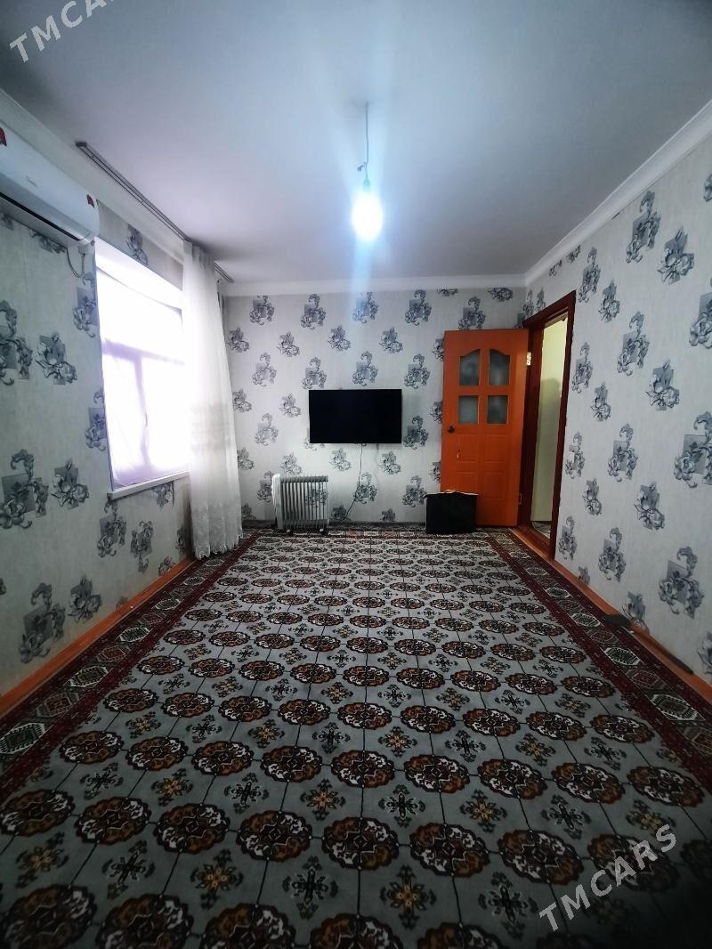 Satlyk jay - Mary - img 1