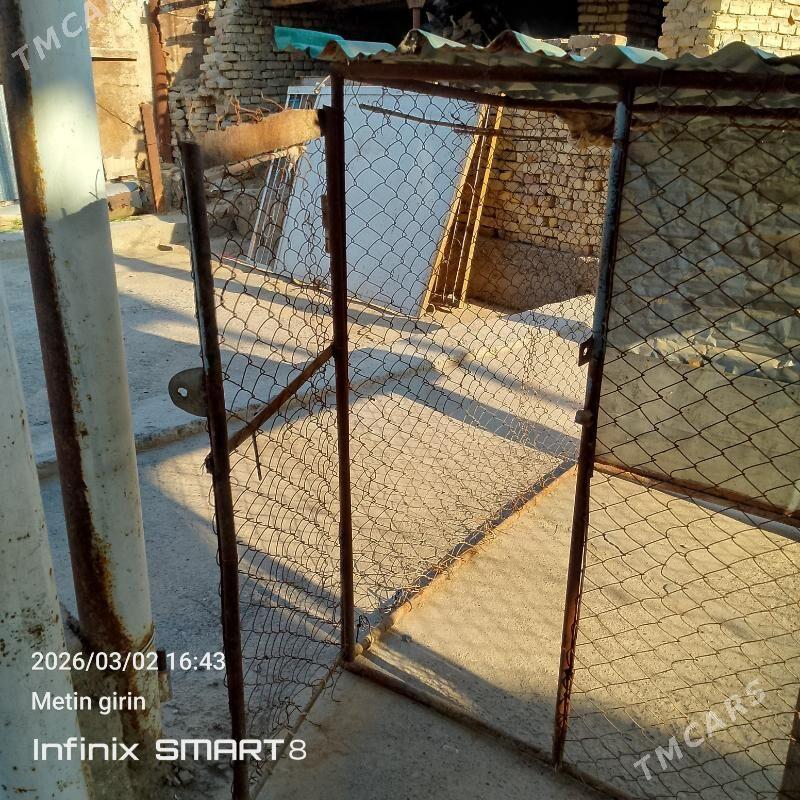 towuk ketek - Mary - img 1