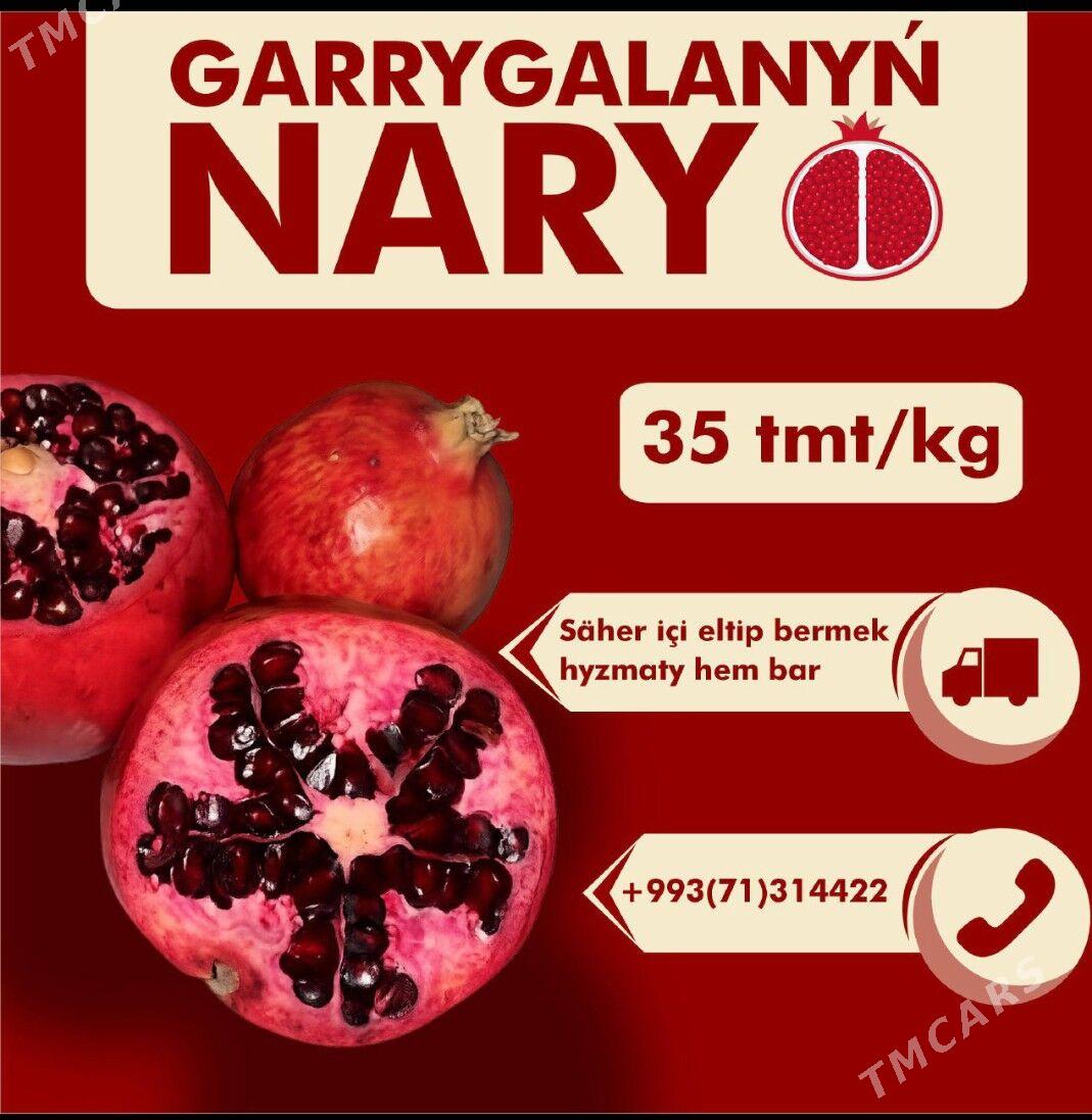 NAR - Aşgabat - img 1