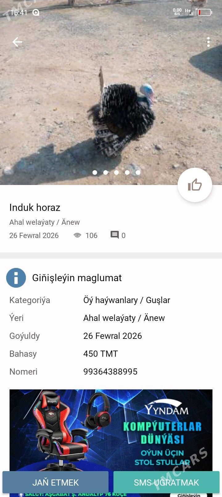 induk horaz - Тязе заман - img 1