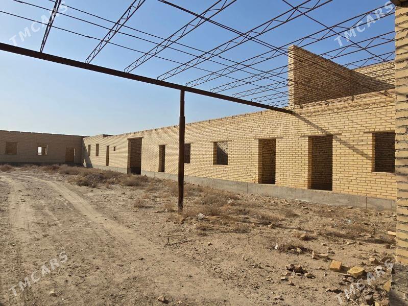 satlyk jay - Саят - img 1