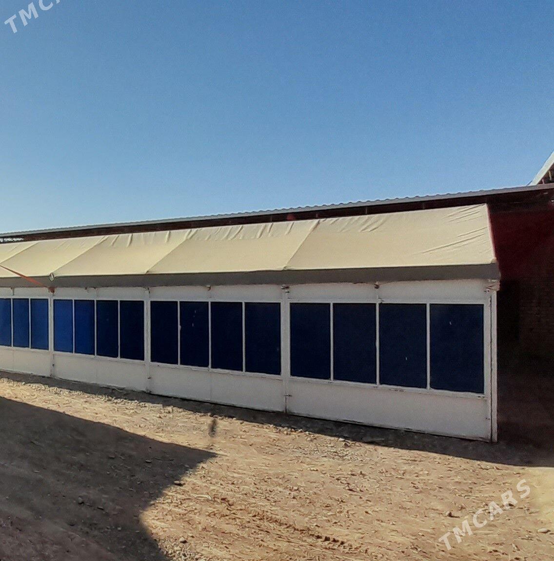 gummez palata - Sarahs - img 1