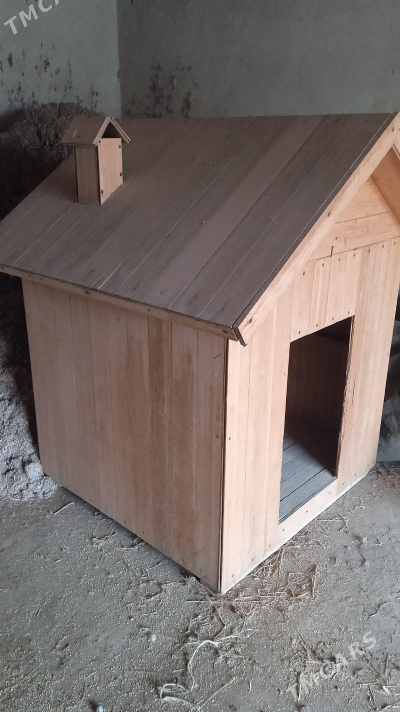 It ketek - Сакар - img 1