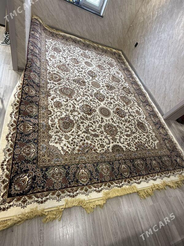 Haly - 30 mkr - img 1