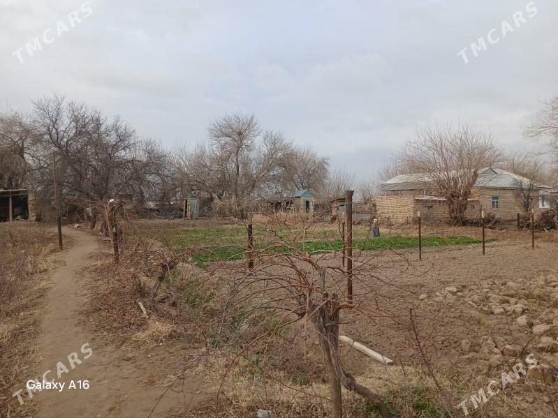 MELEK - Мары - img 1