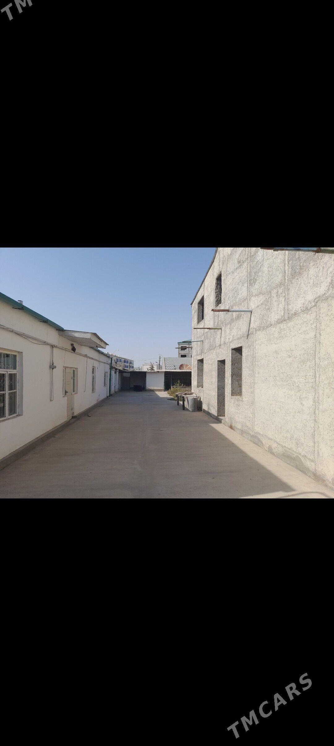 Änew kotež - Анев - img 1