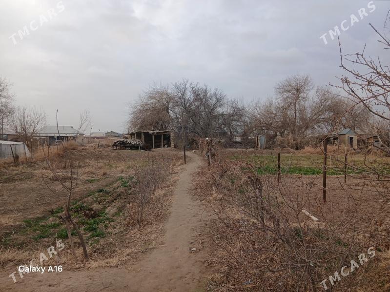 MELEK - Мары - img 1