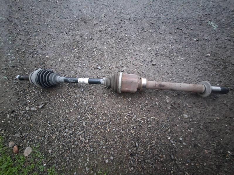 SIENNA GRANAT 1 300 TMT - Гаудан "В" - img 1