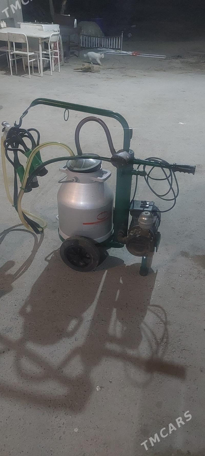 suyd aparad - Бузмеин - img 1