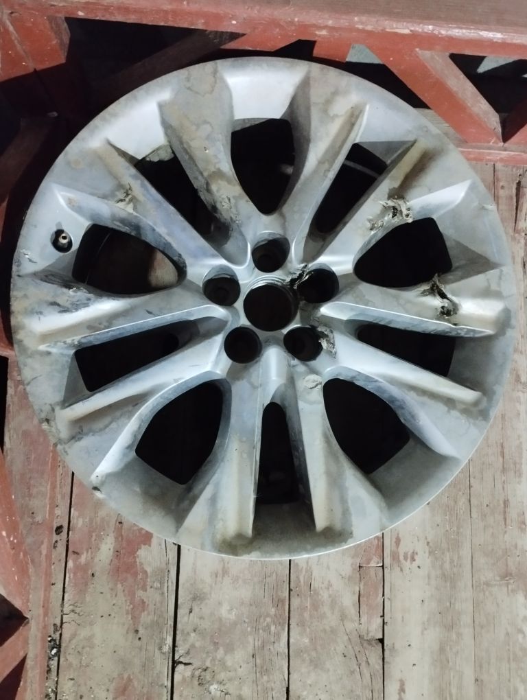 disk 800 TMT - Mary - img 1