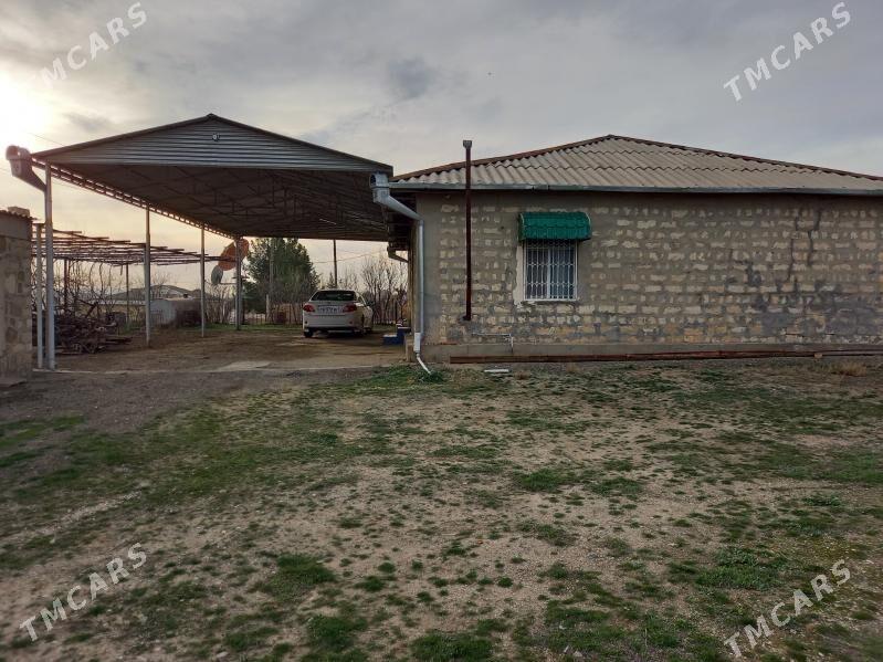 GARRYGALA JAY - Махтумкули - img 1