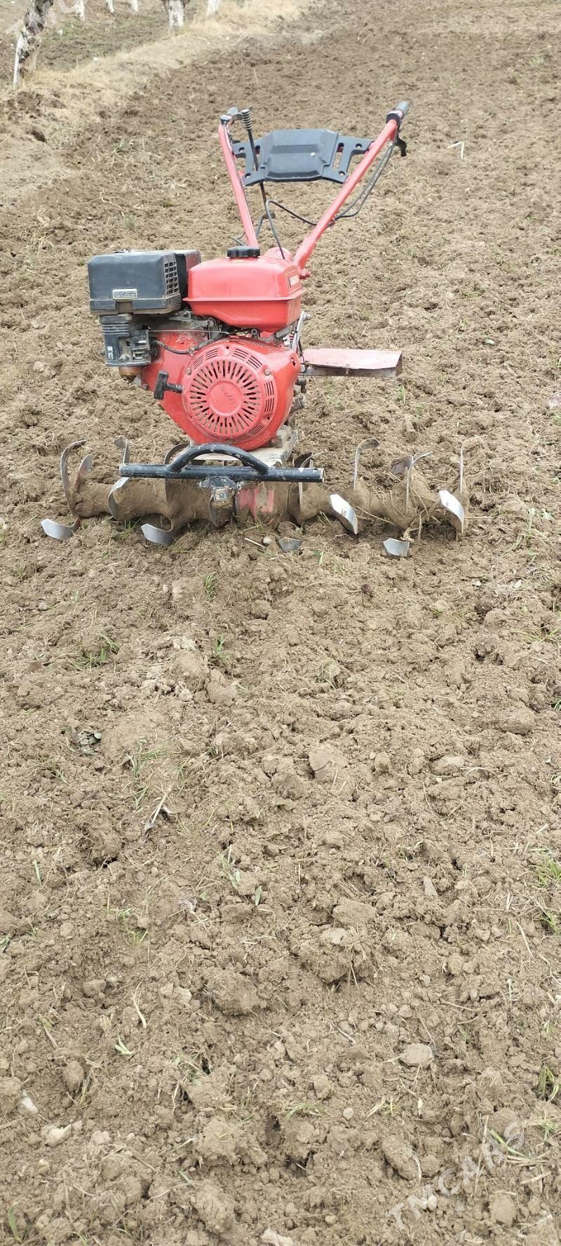 yer suryan - Туркменабат - img 1