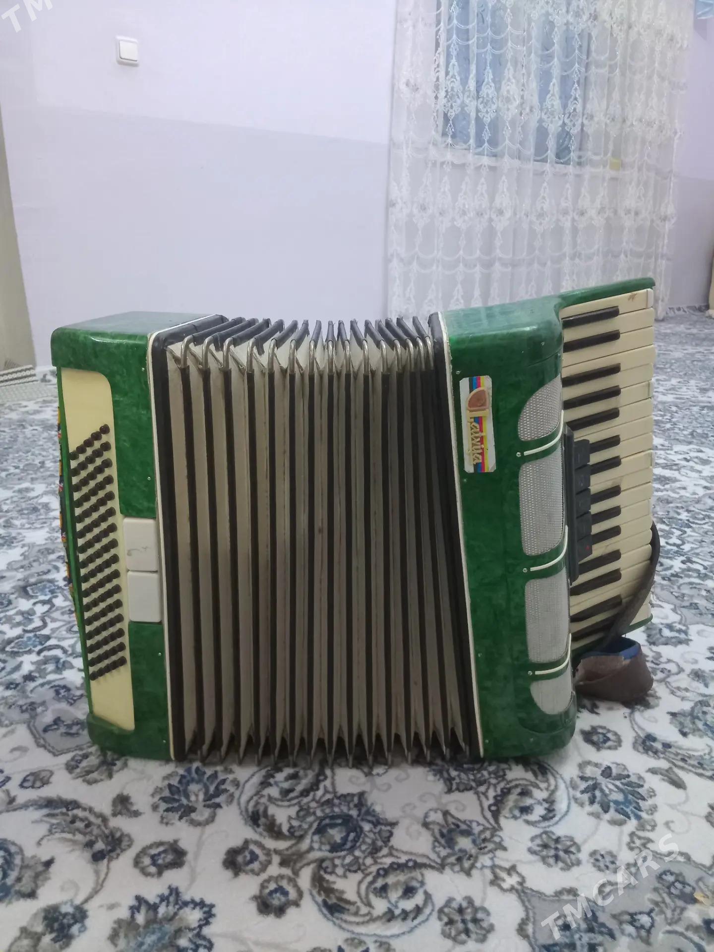 akardion - Ашхабад - img 1