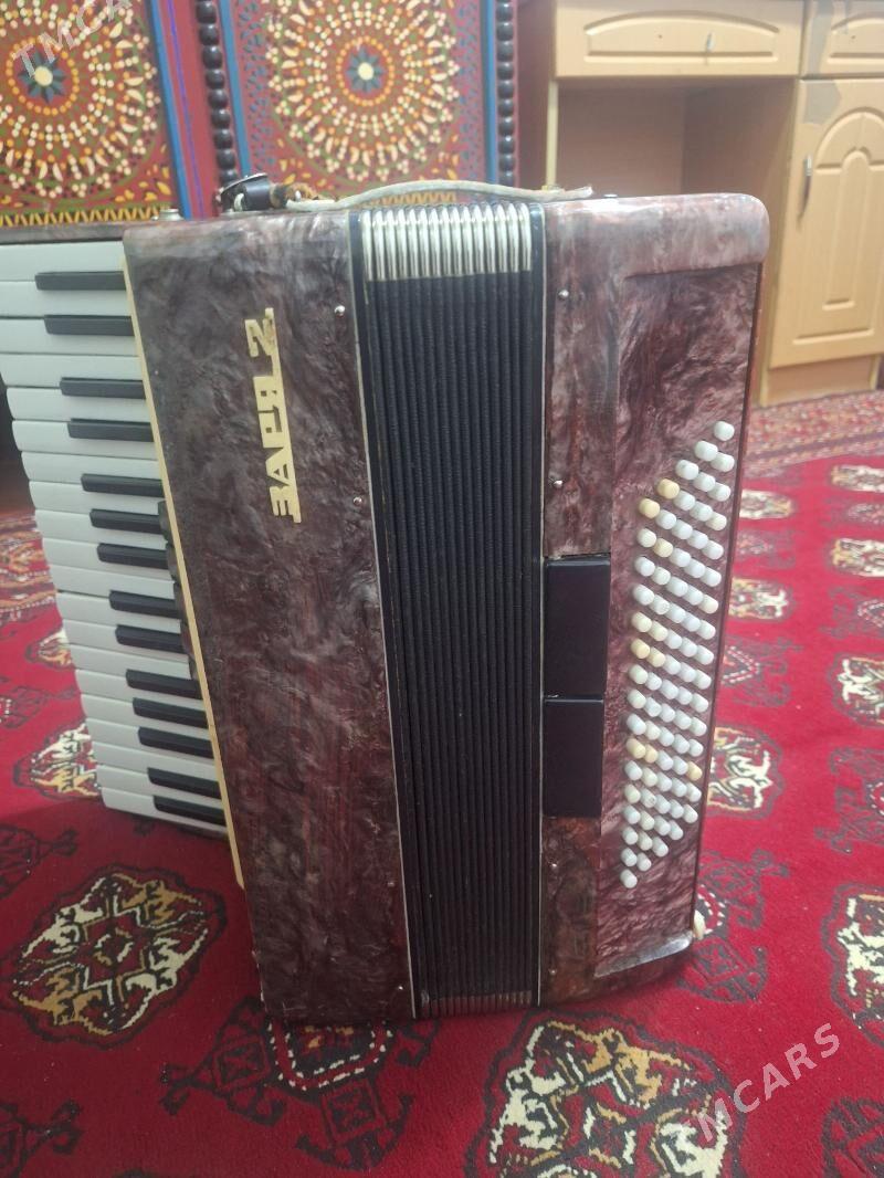 akkardeon - Kerki - img 1