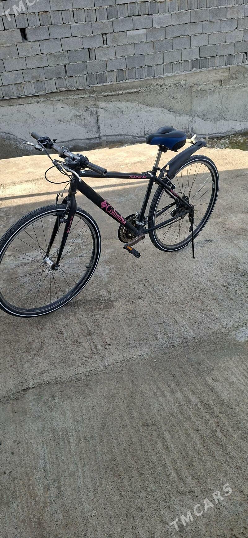 Columbiya tigir - Бузмеин - img 1