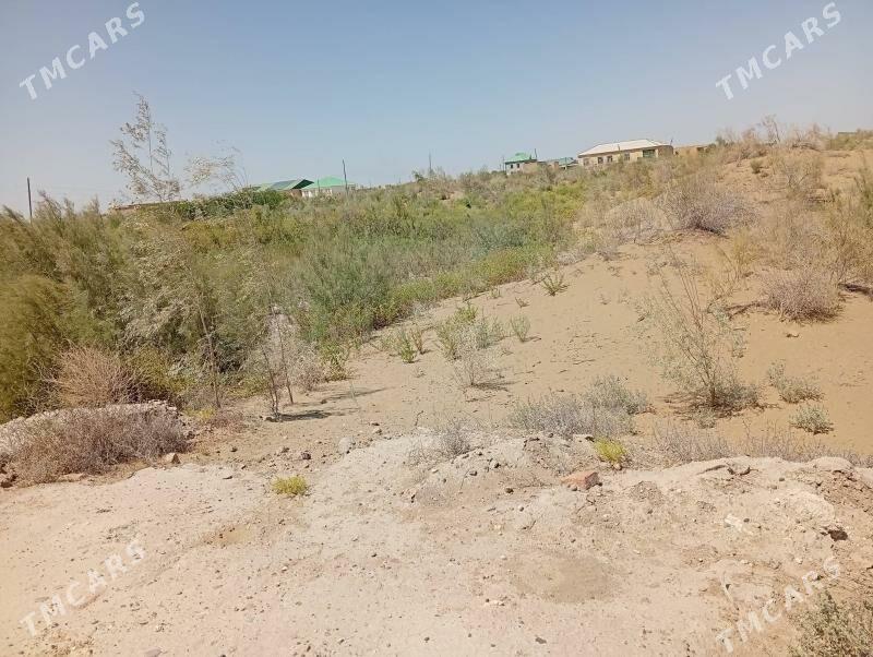 Meelek - Туркменабат - img 1