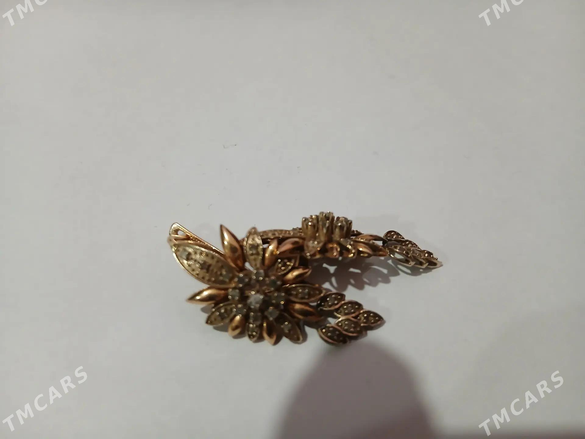 gyzyl altyn - Daşoguz - img 1