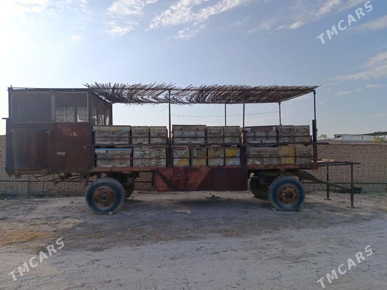 ary prisep - Kaka - img 1