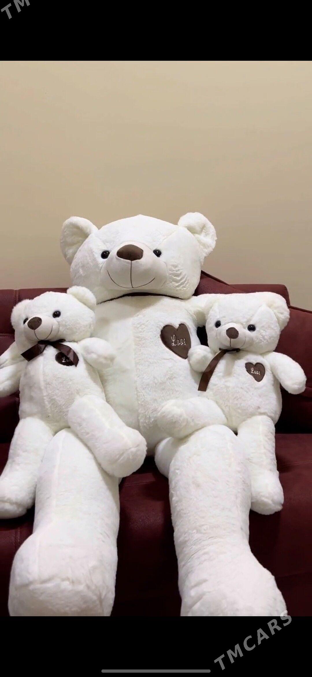 miska - Дашогуз - img 1