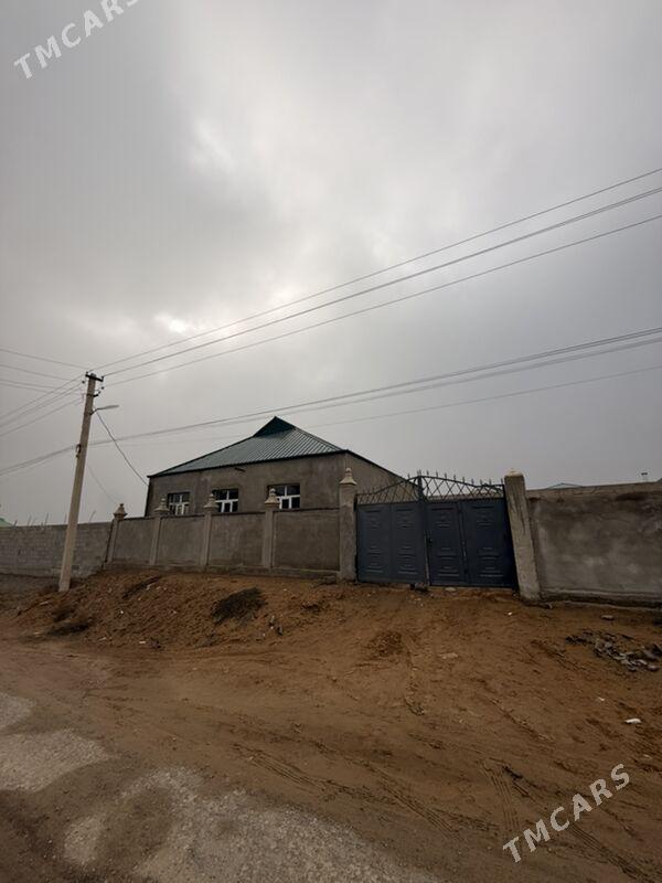 Anew Magtymguly 12-sotak - Änew - img 1